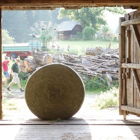 Urlaub Am Bio-Bauernhof Liebchen Villa Zeutschach Kültér fotó