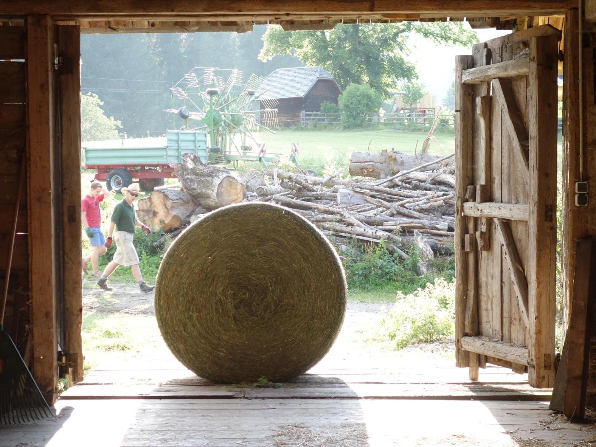 Urlaub Am Bio-Bauernhof Liebchen Villa Zeutschach Kültér fotó
