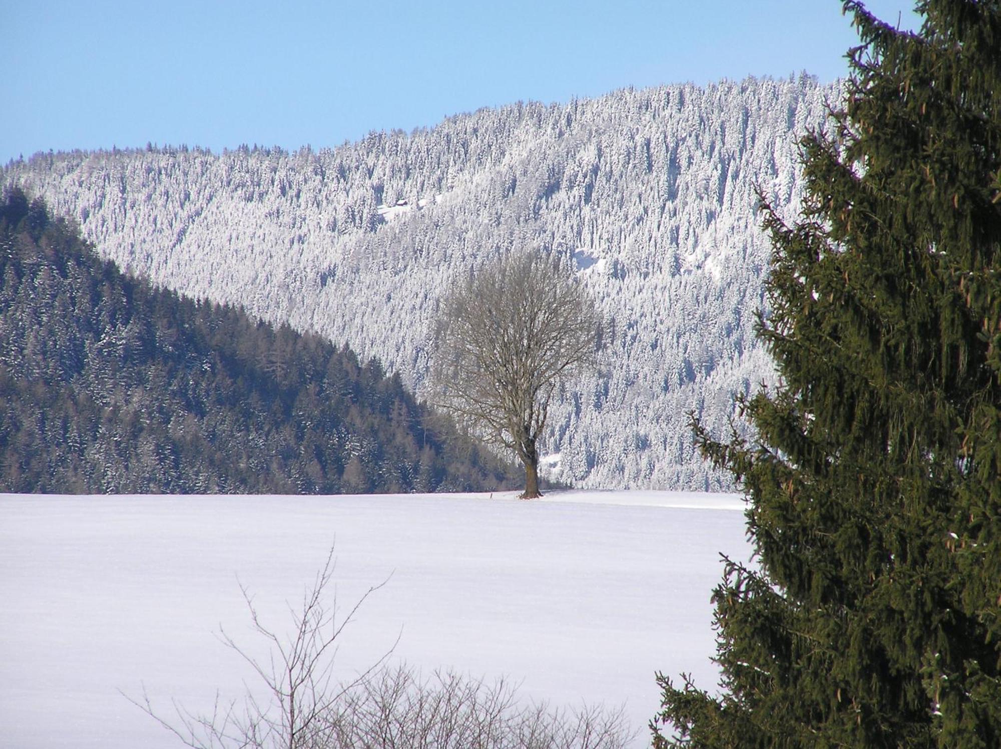 Urlaub Am Bio-Bauernhof Liebchen Villa Zeutschach Kültér fotó