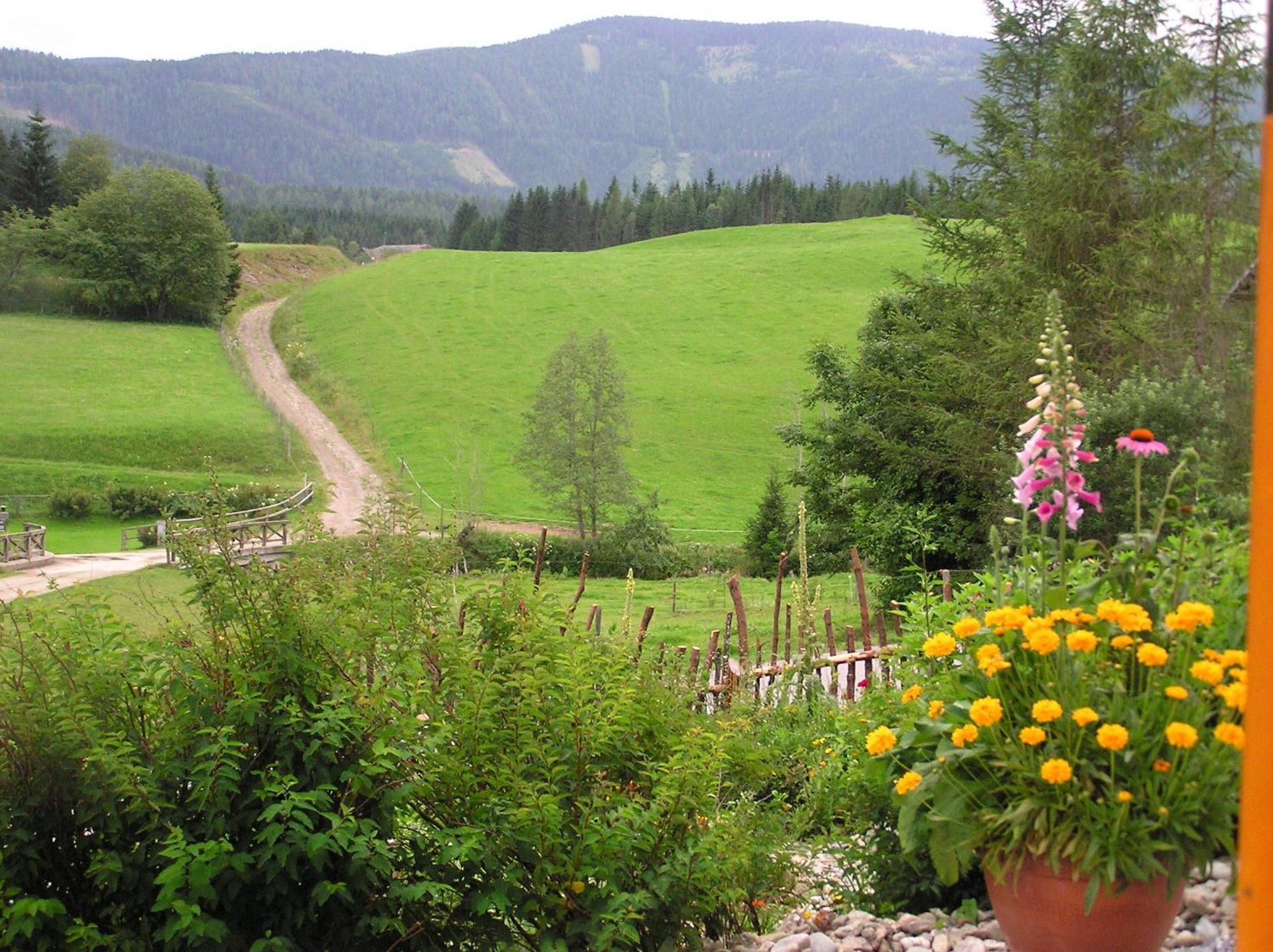 Urlaub Am Bio-Bauernhof Liebchen Villa Zeutschach Kültér fotó