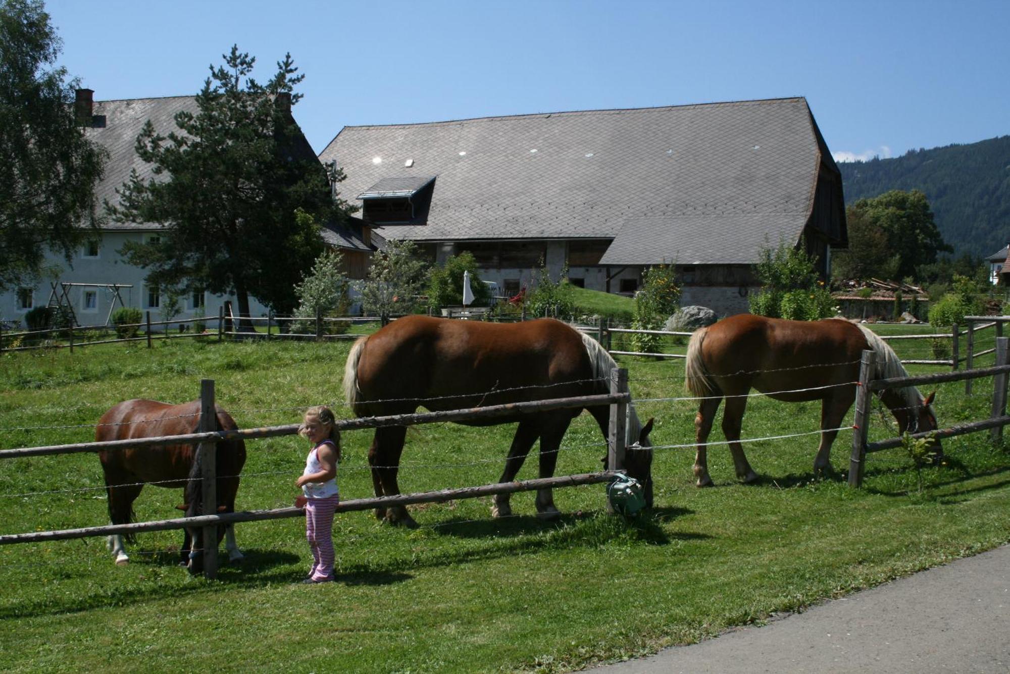 Urlaub Am Bio-Bauernhof Liebchen Villa Zeutschach Kültér fotó