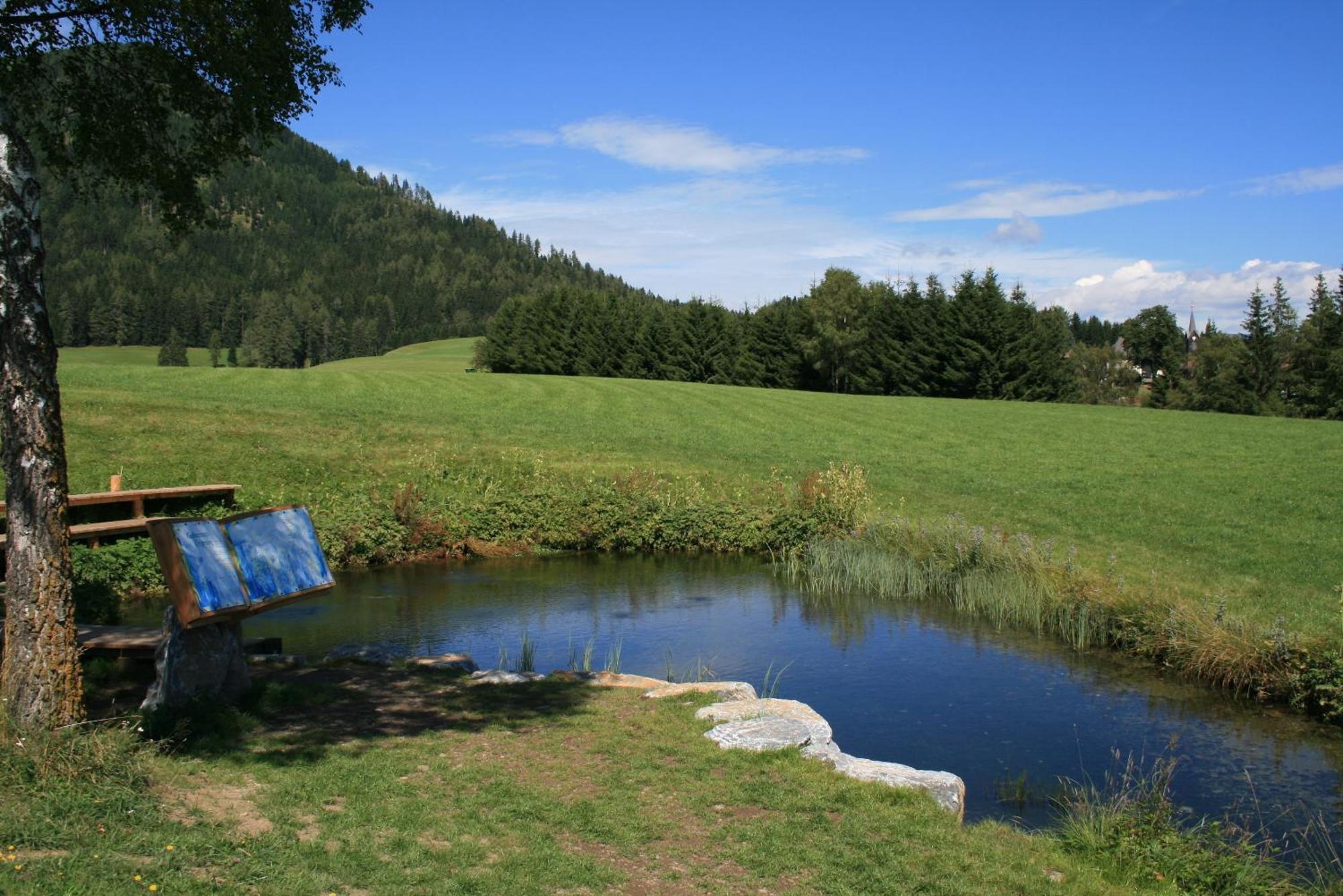 Urlaub Am Bio-Bauernhof Liebchen Villa Zeutschach Kültér fotó